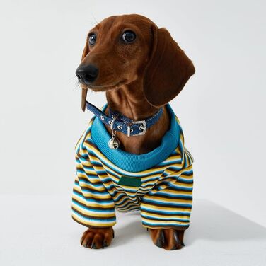 Світшот-куртка для дрібних та середніх собак, теплий пуловер, смугастий, з тонкого флісу, комбінезон для собак, одяг для тварин, двоногий одяг для мініатюрних такс, одяг для собак, червоний S