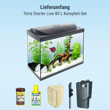 Акваріумний комплект Tetra Starter Line 80 л з LED-підсвіткою день/ніч, фільтром, нагрівачем, кормом і кондиціонером для води