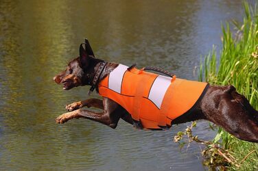 Рятувальний жилет для собак ASENKU, розмір L, оранжевий (для такс, чихуахуа, французького бульдога, лабрадора)