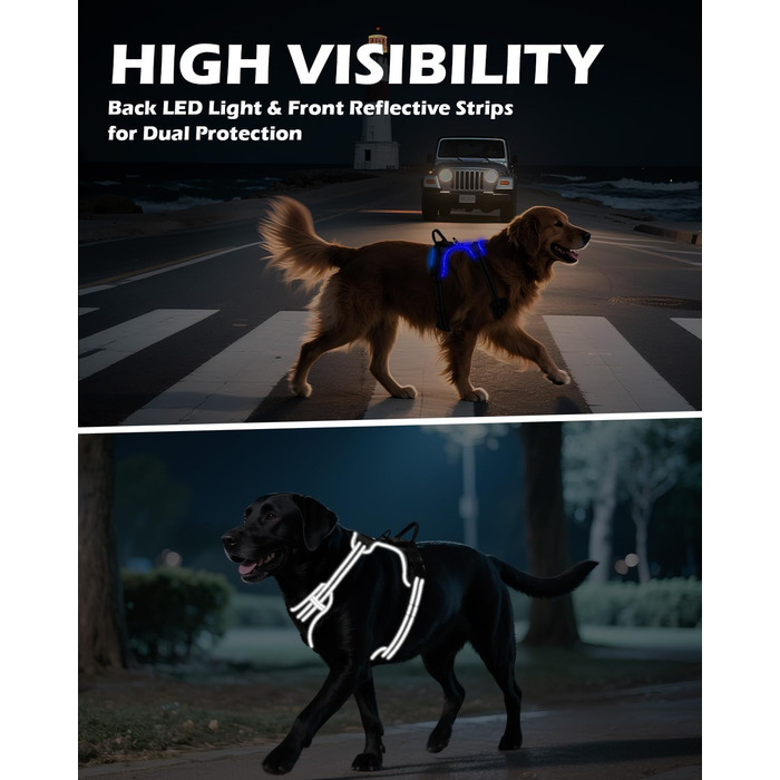 Світловідбиваючий нашийник для собак Joytale, акумуляторний, для середніх собак, без натягування, з LED, з ручкою, регульований, для нічних прогулянок, зелений, M. Зелений (XL (1 шт.), чорно-синій)