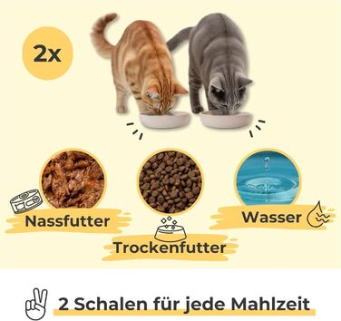 Набір мисок для котів PiuPet® 2 шт. | Миски для котів з неслизьким дном | Миски для корму котів, придатні для миття в посудомийній машині | Плоскі та широкі миски для котів 230 мл | Бежевий/Сірий