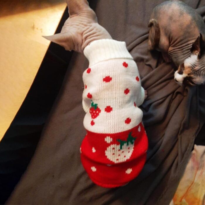 Пуловер для собак CHBORCHICEN, теплий в'язаний, з коміром-горловиною, зимовий, з принтом полуниці та сердечок, червоний, розмір M, рожевий