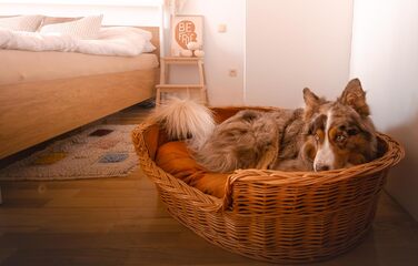 Плетений кошик-будка для собак з натуральної лози 100 см без подушки e-wicker24