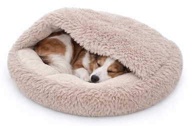 Будка для собак Odol-Plusz, бежева, 80 x 80 см