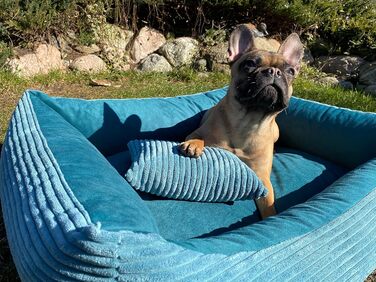 М'яке ліжко для собак 4L Textil Molly, корзина для собак, середні породи, 100x80 см, колір: бірюзовий