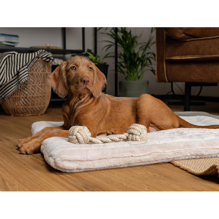 TrendPet Harmony: м'яка підстилка для собак та котів, 50x35 см, кремового кольору