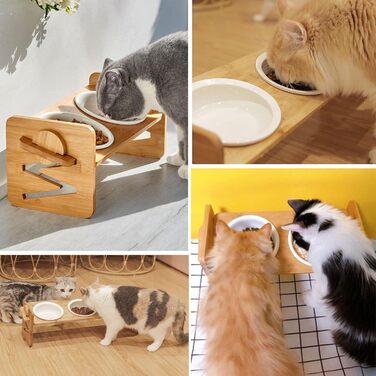 Миска для котів, піднята керамічна миска для котів та маленьких собак, набір мисок для котів та собак, миски для котів (включно зі стійкою)