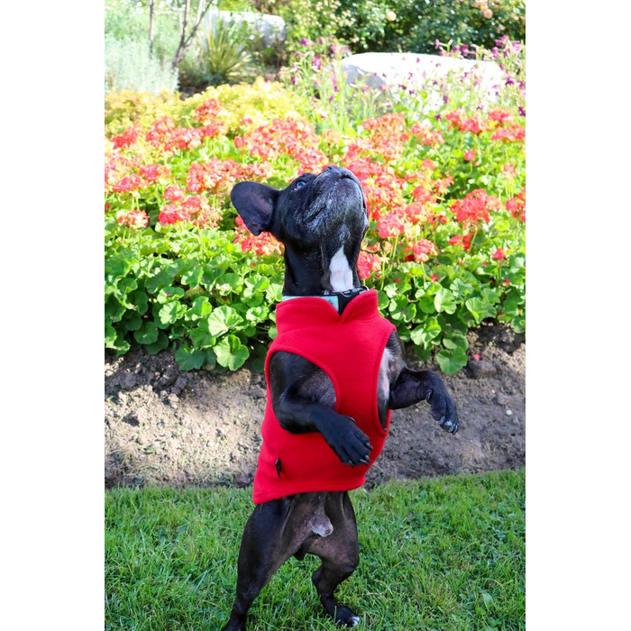 Жилет для собак Jacko & Co з кільцем для повідка – теплий, м'який, дихаючий для цуценят, маленьких та середніх собак, кошенят та котів, чихуахуа, осінь/зима, червоний, розмір M (2,7-4,5 кг)