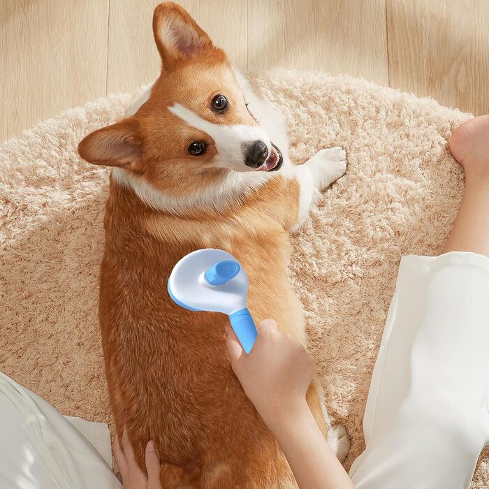 Набір для догляду за шерстю котів та собак: щітка, триммер для нігтів, пилка, гребінець від бліх, 2 зубні щітки для тварин, блакитний