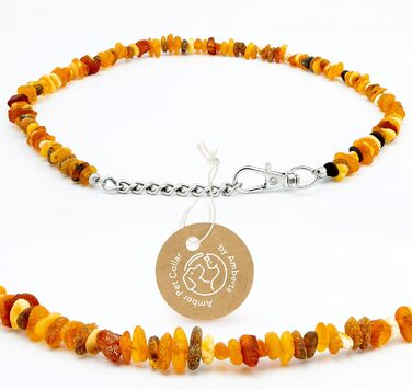 Нашийник для собак та котів Amberta Bernstein: бурштинова прикраса, 40-45 см