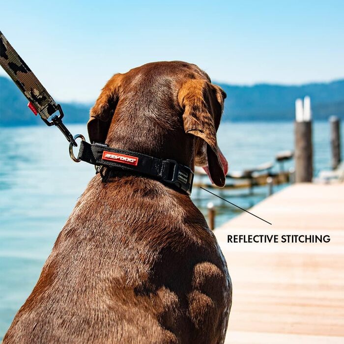 Нашийник для собак EzyDog Checkmate - нашийник-стоппер для собак, навчальний нашийник для дресирування. Підходить для великих, середніх та малих собак (S, чорний)