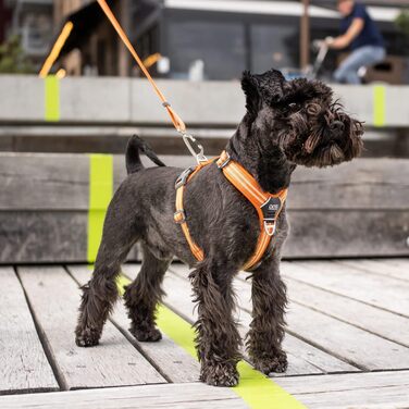 Шлея для собак DOG Copenhagen Comfort Walk Air V2, червона, XL