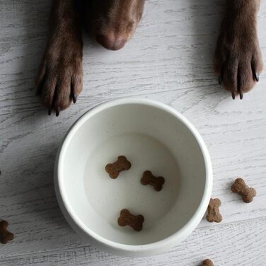 Керамічна годівниця для собак hej.mo | Діаметр 16 см, об'єм 0.9 л | Міцна, миється в посудомийній машині, стійка до подряпин та укусів | Для маленьких та середніх собак (Крем)