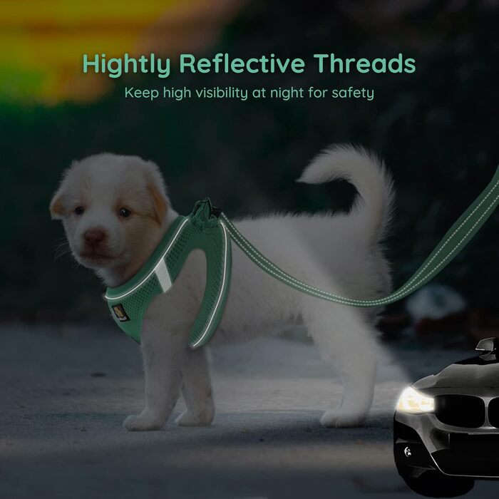 Шлейка для собак BELLA & PAL для маленьких собак з повідком, Step-in шлейка з Air Mesh, анти-тяга, світловідбиваюча, дихаюча, для цуценят, котяча шлейка, XS (30-35 см обхват грудей), Emerald