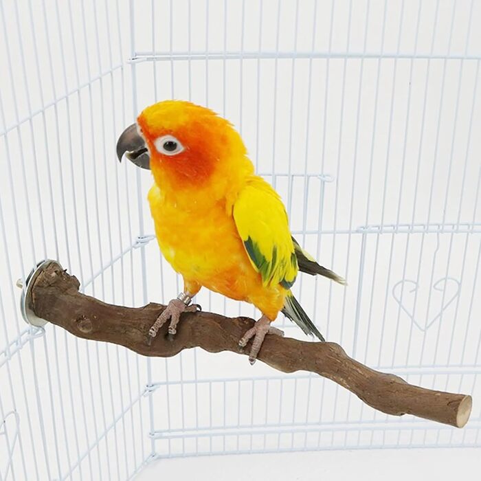 Натуральні гілки-стійки для птахів Allazone (5 шт.) - іграшки для папуг та інших птахів