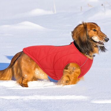 Водонепроникна куртка для собак - тепла зимова куртка з блискавкою для малих, середніх та великих собак. Червоний колір, розмір S