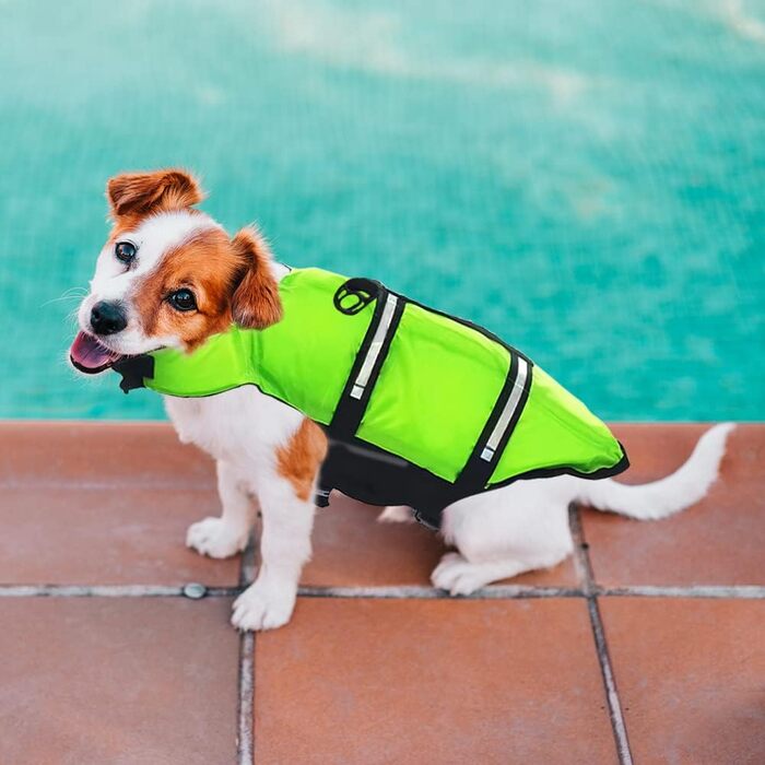 Жилет рятувальний для собак FainFun, розмір L, зелений: комфорт та безпека у воді