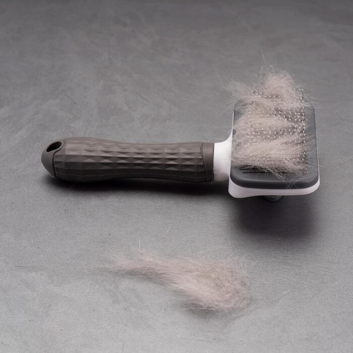 Набір для грумінгу 6er Mega-Set: щітки для собак та котів, включаючи щітки для видалення ковтунів. Ідеальне аксесуар для догляду за шерстю вашого улюбленця