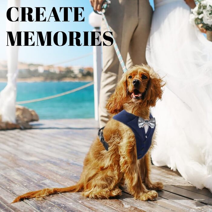 Смугастий собачий смокінг для весілля та ювілею, стильний костюм для собак з краваткою для маленьких та великих собак, формальний одяг для дня народження, пропозиції, фотосесій, косплей, особливі події (розмір шиї 32-42 см) Синій смокінг + срібна краватка