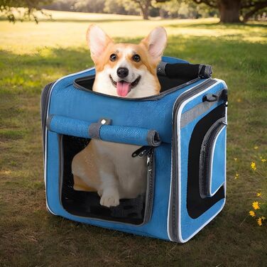 Кошик для собак на велосипед, передній кошик, рюкзак з вентиляцією, регульований транспорт для прогулянок та подорожей