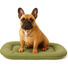 Подушка для собак та котів Flamingo Firenze: овальна, зелена, 55x39 см