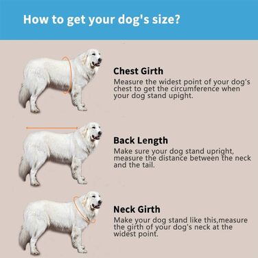 Світшот для собак Snik-S, блакитний, розмір L - рятувальний жилет для собак з короткою мордою (Мопс, Бульдог, Пудель, Бультер'єр, Чихуахуа)