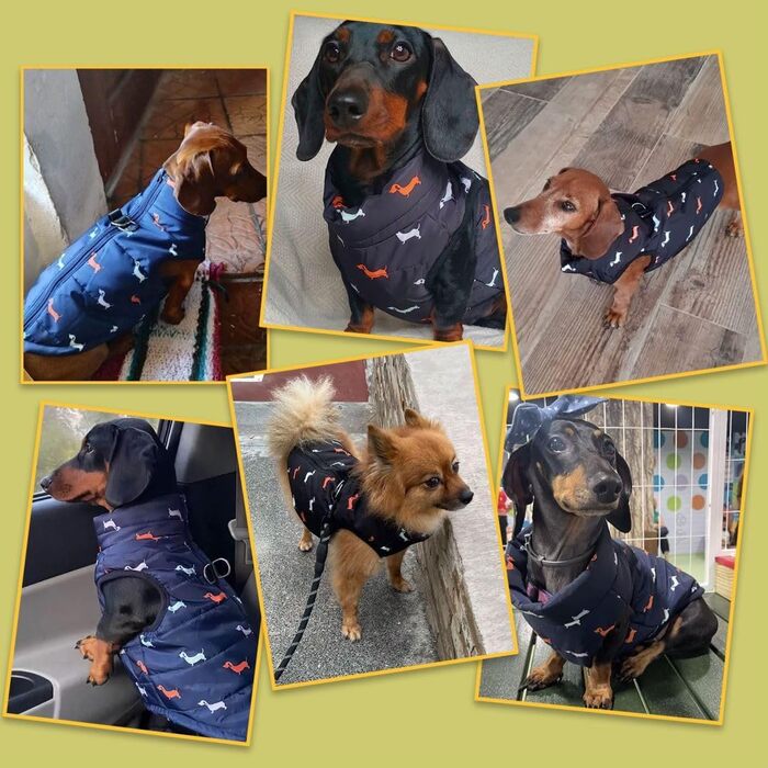 Тепла куртка для собак на зиму від Asmea: чорна, для чихуахуа, такси, S, M. Водонепроникна, з отвором для повідка.