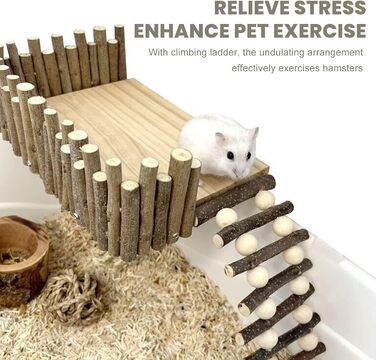 Платформа для хом'яків HERCHR з дерева, мостик, іграшка для гризунів з огорожею, підходить для цукрових поссумов та золотих ведмедиків