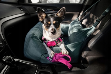 Автомобільний автокрісло-переноска для собак Huggy Doggy L (для бульдогів, такс та середніх порід)