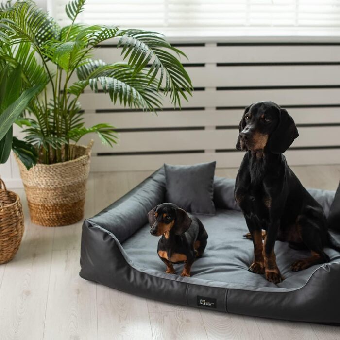 Ортопедичне ліжко для собак Eden, XL, чорно-сіре. Зносостійке, водонепроникне, з еко-шкіри та акрилового матеріалу. Для собак середніх та великих порід.