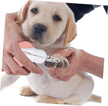 Набір з 3 шт. ножиків для обрізання кігтів собак Besportble з нержавіючої сталі, ергономічні, для собак маленьких, середніх та великих порід. Практичне аксесуар для догляду за домашніми тваринами.