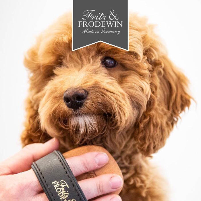 Набір щіток для собак Fritz & Frodewin 'Довга шерсть' | Преміум набір для догляду за шерстю собак | Щітки для вичісування | Для щоденного догляду | З сертифікованого дерева FSC | Безкоштовний засіб для чищення щіток | 100% Made in Germany