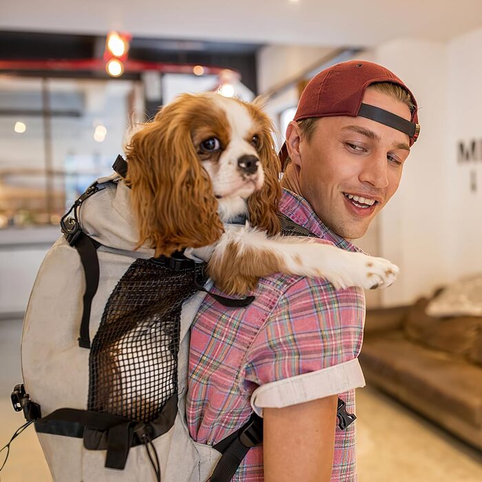 Рюкзак-переноска для собак Galatée, регульований, з вентиляцією, для прогулянок, походів та подорожей (L, сірий)