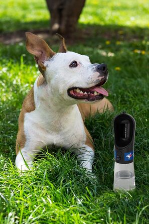 Поїльник для тварин MLB Toronto Blue Jays - пляшка для води для собак та котів, 382.7 г, з 2 вуглецевими фільтрами