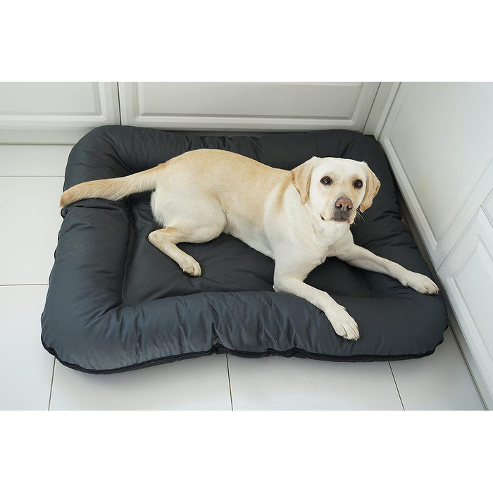 Клео - лежанка для собак середніх порід, 80x60 см, графітовий колір, знімний чохол, водонепроникна, з блискавкою