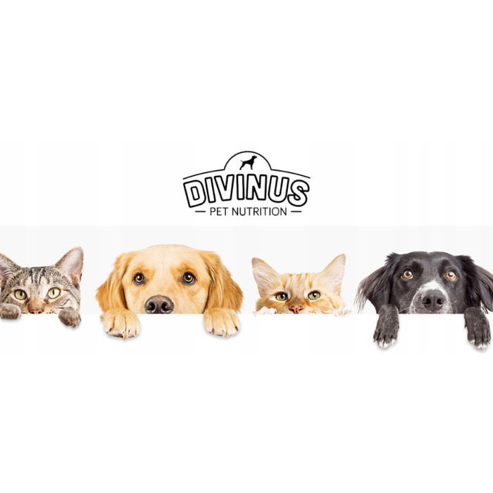 Повний сухий корм для дорослих собак Divinus Dog з вітамінами, 20 кг