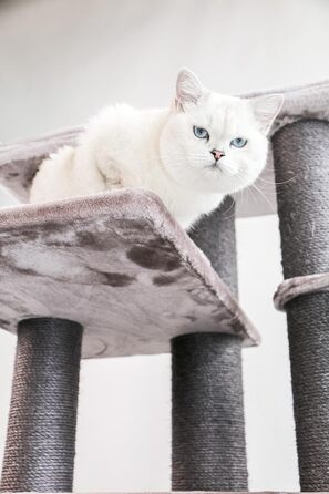 Когтеточка для великих котів Petrebels Maine Coon XXL Route 180 см, натуральний сизаль, стовпи 12/15 см, капучино