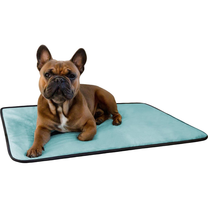 Корзина для собак Normani з ковдрою - лежанка для тварин, блакитна, 60x80 см