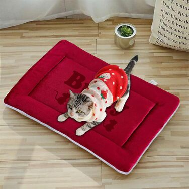 Персоналізована килимок для собак, індивідуальне собаче ліжко для вольєру, миється, килимок для сну домашніх тварин, подарунок для любителів собак і котів (69x52 см, Червоний)