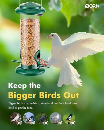 iBorn годівниця для птахів на підвіску, зелена, 2 шт. - металева, стійка до іржі, 20 см