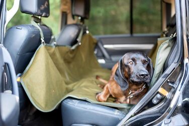 Захисний чохол для автосидіння EUROHUNT для собак, брудовідштовхувальний, захист багажника, 145x140 см