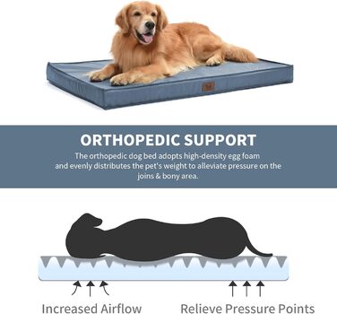 Лежанка для собак Outdoor, водонепроникна, ортопедична, великих порід, знімний чохол, блакитна, L