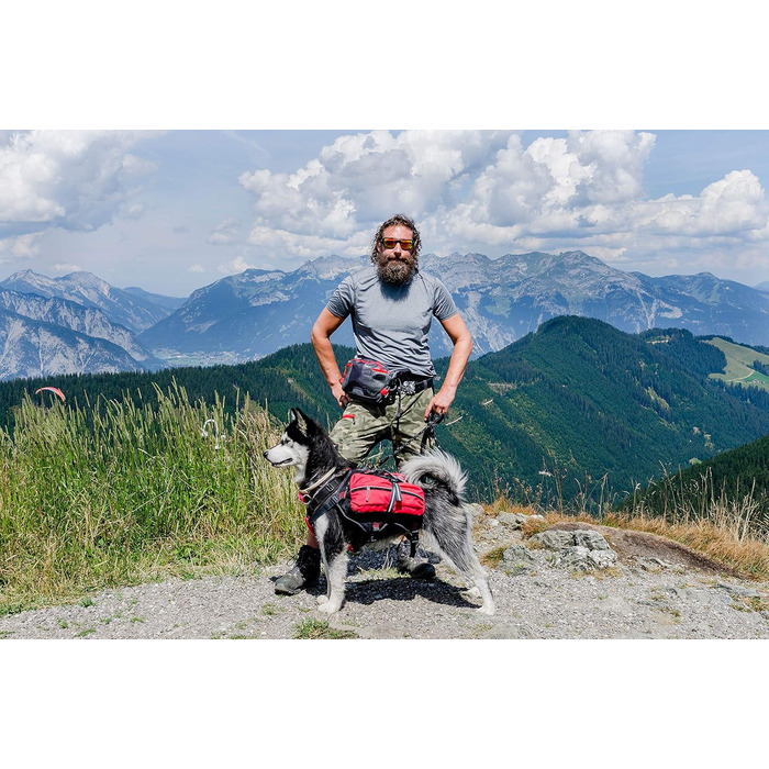 iEnergy™ MAL Hunderucksack: Водонепроникний рюкзак для собак – зручний та добре об'ємний для походів (маленький)
