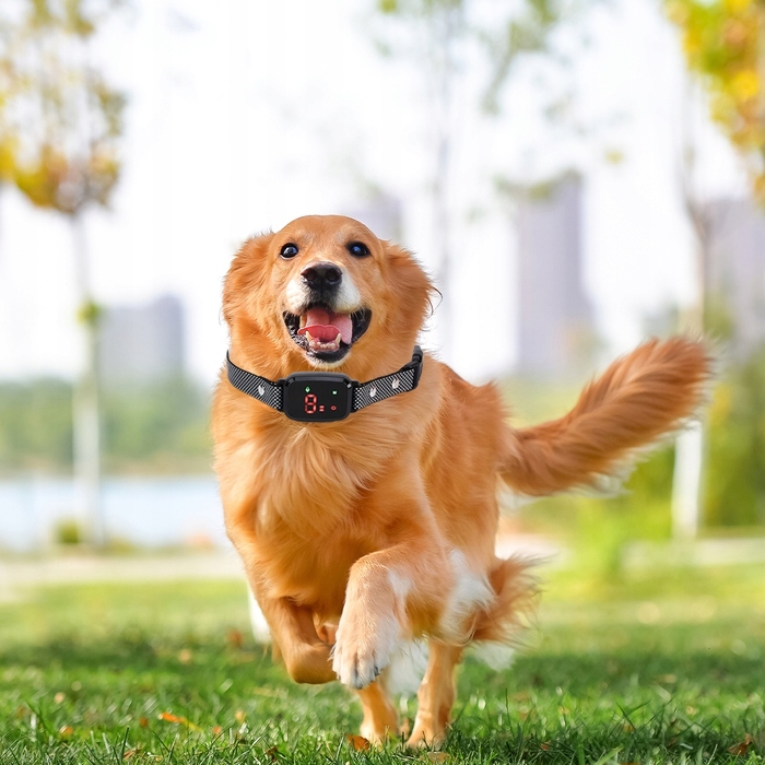 Антитягний нашийник для собак, тренувальний нашийник-пасок