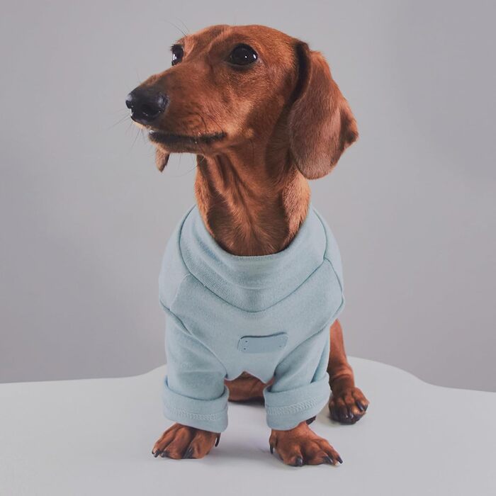 Комбінезон для собак - теплий вишиваний, бавовна, синій, L - для дрібних та середніх порід