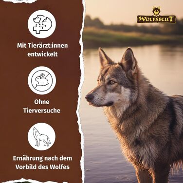 Сухий корм для дорослих собак WOLFSBLUT Wide Plain з кониною, беззерновий, з суперфудами, 12.5 кг