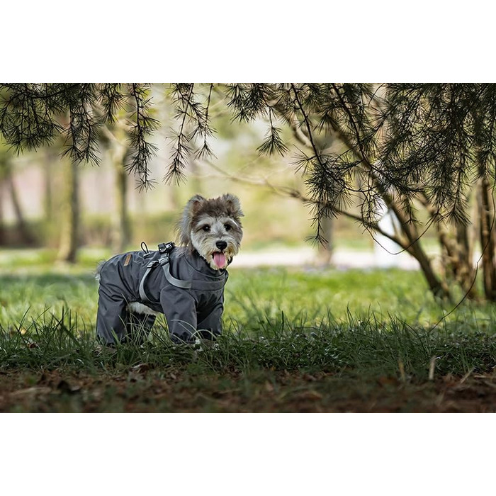 Водонепроникний дощовик для собак, розмір M, сірий, регульований, з 4 ніжками, для малих та середніх порід