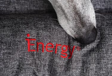 iEnergy GIS: Лежанка для собак на відкритому повітрі, зручна для відпочинку, ідеальна для саду, кемпінгу, подорожей та прогулянок