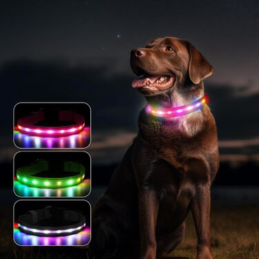 Світлодіодна нашийник для собак Feycig з USB-зарядкою, водонепроникний, регульований, 3 режими, для малих, середніх та великих собак (світлороже, S(28-40см))