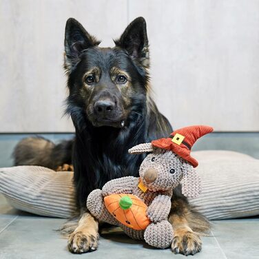 Килимок для собак 60x50 см, бежевий, Corduroy (4L Textil ZOE)